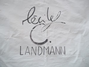 logo-landmann-300x224